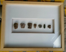 rare sept très anciennes