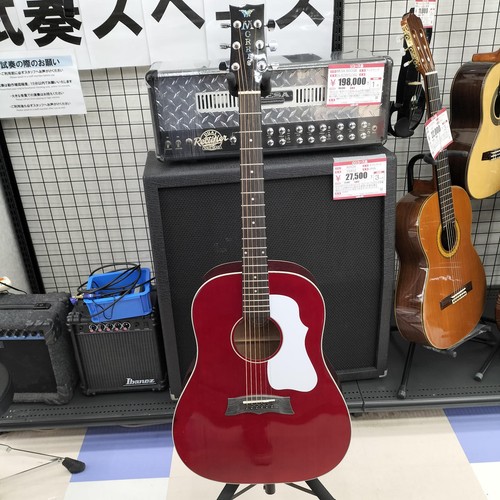 Guitare acoustique morris - guitare,