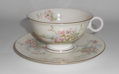 Theodore haviland china - theodore, apple