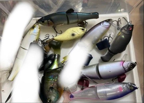 Big bait bulk - , sale