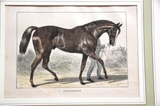 Gravure de cheval de course