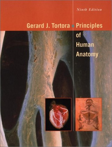 Principes anatomie humaine - principes,