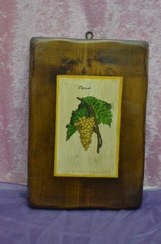 Ancien planche tableau nature - planche,