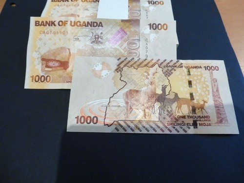Splendide billet 1000 - splendide,