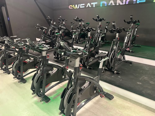 Schwinn power carbon - power,