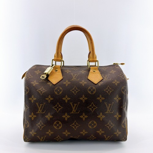 Sac main louis vuitton - main,