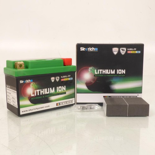 Batterie lithium skyrich pour - lithium,