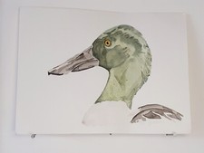 Canard Souchet AQUARELLE ORIGINALE Portrait d'oiseau Peinture Bassin Sauvagine