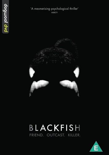 Blackfish kim ashdown - (dvd),