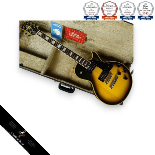 Guitare électrique aria pro - électrique,