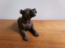 Staffordshire Bull Terrier