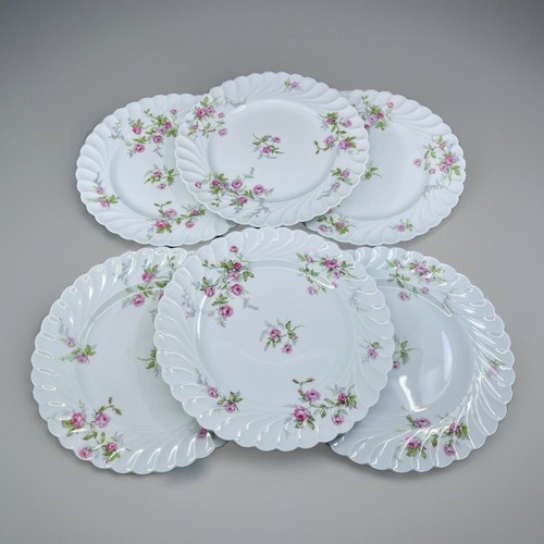 Grandes assiettes plates - 6,