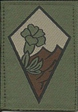 INSIGNE TISSU, PATCH MILITAIRE