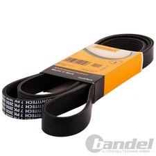 CONTI Courroies À Côtes