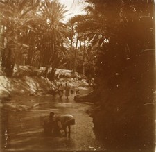 Tunisie Algérie Oasis c1920 Photo Plaque de verre Stereo Vintage V34L1n