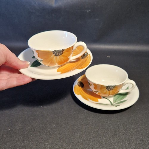 Tasses soucoupes à - 🔅,
