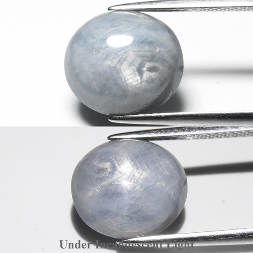 Ct ovale cabochon - 10,58,