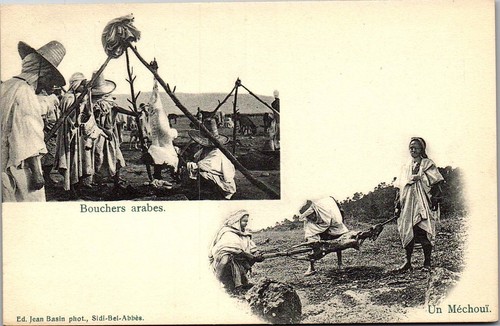 Algerie type boucher - -, de