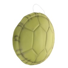 Carapace De Tortue Réaliste