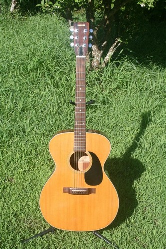 Guitare kasuga f311 - guitare,