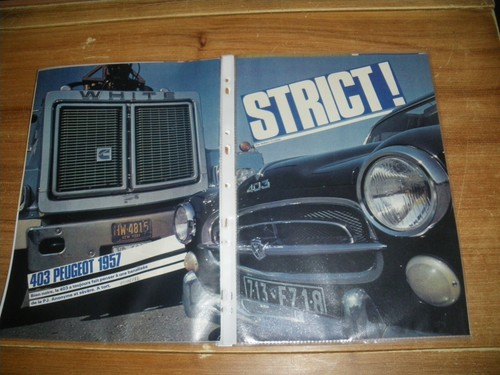 Custom peugeot 403 - ...........peugeot,