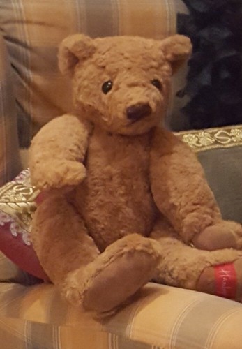 Ours peluche - (teddy, bear