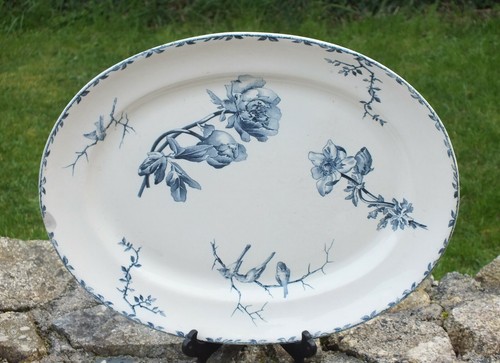Très grand plat terre de - terre,