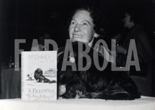 Photo de presse vintage Chien