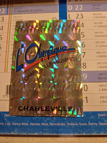écusson panini foot 95 - 1,