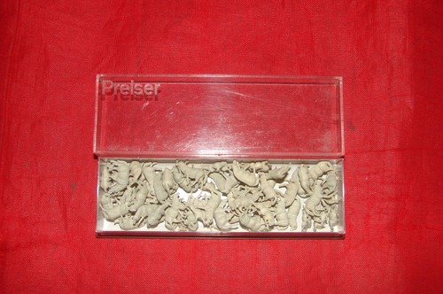 Preiser moutons troupeau - preiser, 60
