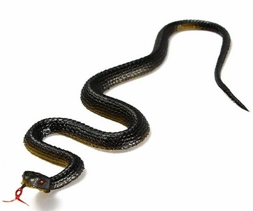 Fausse plantes serpent - plantes,