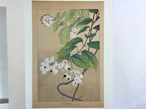 Estampe japonaise sur - , bois