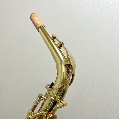 Yanagisawa with damage wo1 - yanagisawa,