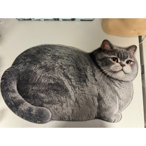 Realistic british shorthair - british,