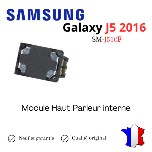 Module haut parleur interne - haut,