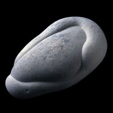 ★☆ GOGOTTE MAROC de