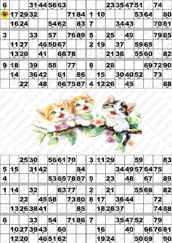 Plaque cartons de loto - 12,