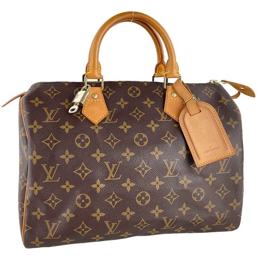 Sac main louis vuitton - main,