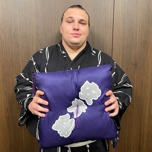Coussin aonishiki sumo zabuton - coussin,