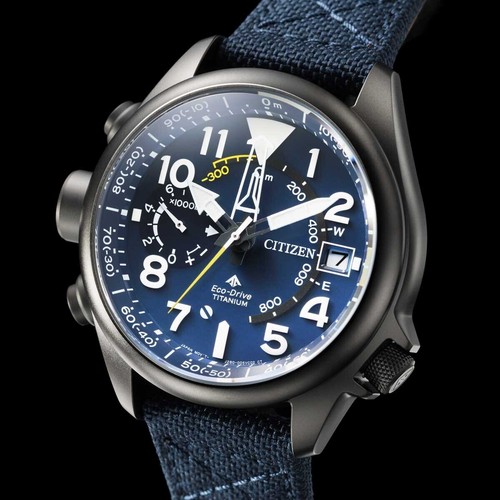 Citizen promaster land - promaster,