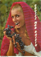 Carte Postale - Vignes -