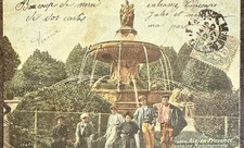 🦬 Carte Postale - Postcard
