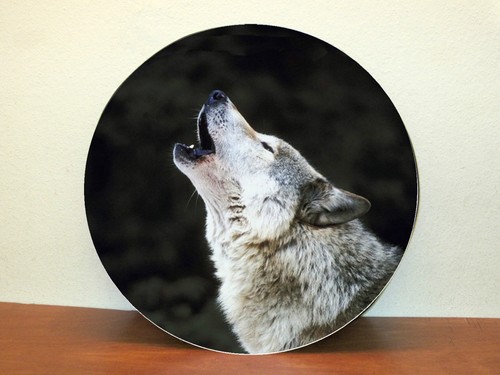 Cache roue secours wolf - cache,