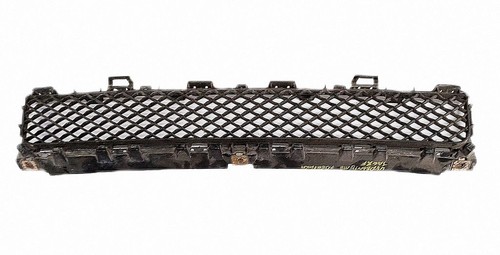 Jaguar 2008 grille - jaguar,