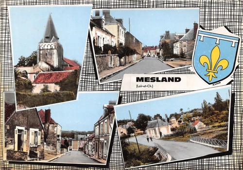 41-MESLAND-N�T206-B/0061