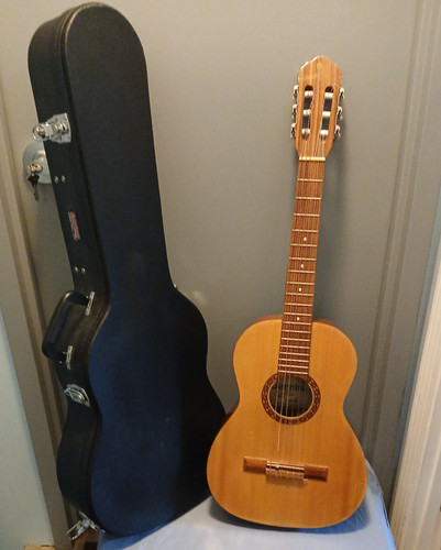 Giannini 1900 acoustic - giannini,