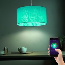 Lampe à Suspension
