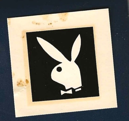 Water slide decal playboy - water,