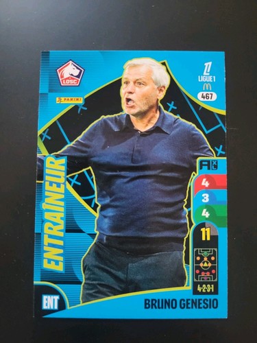 Panini adrenalyn ligue - adrenalyn, –