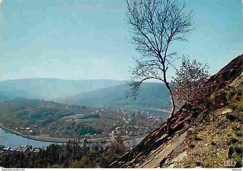 Carte postale - -,